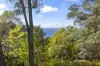61 Rose Lane, Flowerpot, Tas 7163-Image