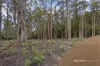 61 Rose Lane, Flowerpot, Tas 7163-Image