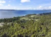 61 Rose Lane, Flowerpot, Tas 7163-Image
