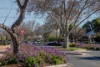 61 Rosetta Street, West Croydon, SA 5008-Image