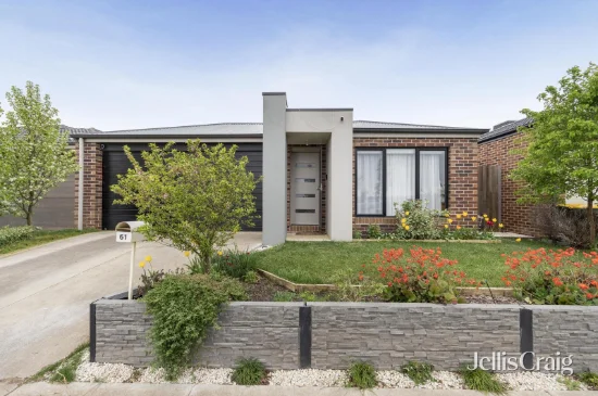 61 Spoonbill Avenue, Winter Valley, Vic 3358