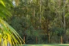 61 Taminga Circuit, D'aguilar QLD 4514-Image