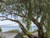 61 Tower Road, Portarlington, Vic 3223-Image