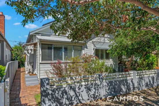 61 Young Street, Georgetown, NSW 2298