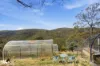 611 Grasstree Hill Road, Grasstree Hill, Tas 7017-Image