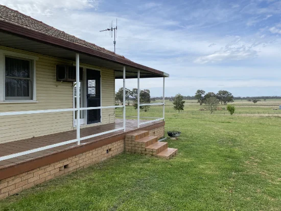 612 Springfield Lane, Gulgong, NSW 2852