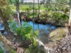 6128 Lachlan Valley Way, Cowra, NSW 2794-Image