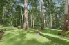 614-616 Binna Burra Road, Beechmont, Qld 4211-Image