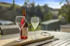 614 Ironcliffe Road, Penguin, Tas 7316-Image