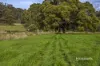 614 Ironcliffe Road, Penguin, Tas 7316-Image