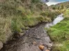 614 Ironcliffe Road, Penguin, Tas 7316-Image