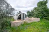 615 Cooltong Avenue, Cooltong, SA 5341-Image