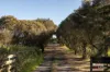 619 Back Beach Road, Ventnor, Vic 3922-Image