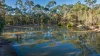 619 Murphy Road, Captain Creek QLD 4677-Image