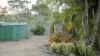 619 Murphy Road, Captain Creek QLD 4677-Image