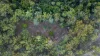 619 Murphy Road, Captain Creek QLD 4677-Image