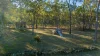 619 Murphy Road, Captain Creek QLD 4677-Image