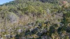 619 Murphy Road, Captain Creek QLD 4677-Image
