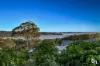 62 Croft Road, Eleebana, NSW 2282-Image