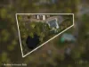 62 Daniel Court, Greenbank, Qld 4124-Image