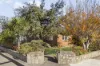 62 Elizabeth Street, Bentleigh East, Vic 3165-Image