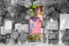 62 Evans Lookout Road, Blackheath, NSW 2785-Image