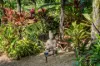 62 Finnie Road, Deagon, Qld 4017-Image