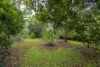 62 Forestry Road, Bauple, Qld 4650-Image
