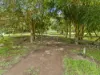 62 Greenoak Road, Kandanga, Qld 4570-Image