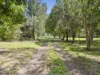 62 Greenoak Road, Kandanga, Qld 4570-Image
