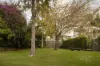 62 Haining Street, Bardon, Qld 4065-Image