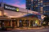 62 Homebush Road, Strathfield, NSW 2135-Image