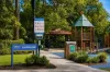 62 Homebush Road, Strathfield, NSW 2135-Image