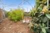 62 Hovea Crescent, Wundowie, WA 6560-Image