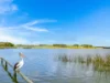 62 Island View Drive, Clayton Bay, SA 5256-Image