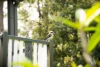 62 Kinmond Creek Road, Cootharaba, Qld 4565-Image