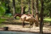 62 Kinmond Creek Road, Cootharaba, Qld 4565-Image