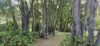 62 Macpherson Drive, Nornalup, WA 6333-Image