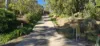 62 Macpherson Drive, Nornalup, WA 6333-Image