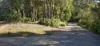 62 Macpherson Drive, Nornalup, WA 6333-Image