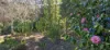 62 Macpherson Drive, Nornalup, WA 6333-Image