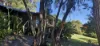 62 Macpherson Drive, Nornalup, WA 6333-Image
