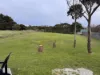 62 Main Street, Currie, Tas 7256-Image