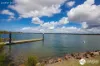 62 Marlin Drive, South West Rocks, NSW 2431-Image