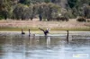 62 Mundays Lane, Armidale, NSW 2350-Image