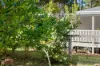 62 Old Mill Road, Carters Ridge, Qld 4563-Image