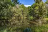 62 Old Mill Road, Carters Ridge, Qld 4563-Image