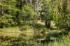 62 Old Mill Road, Carters Ridge, Qld 4563-Image