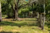 62 Old Mill Road, Carters Ridge, Qld 4563-Image
