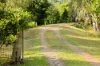 62 Old Mill Road, Carters Ridge, Qld 4563-Image